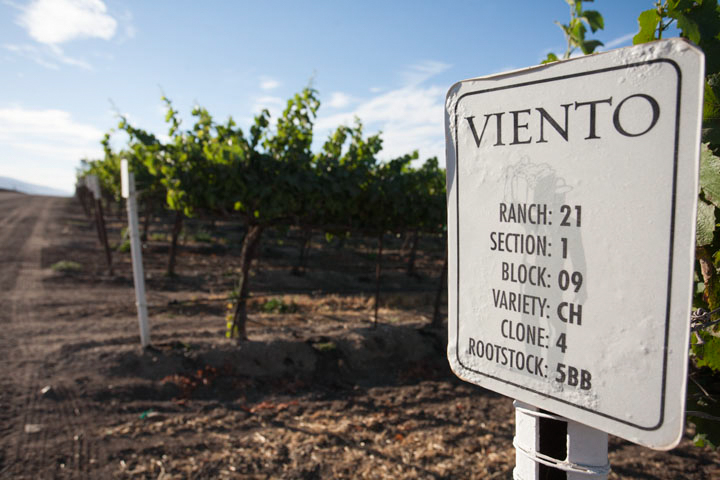 Sign at the Vineto vineyard