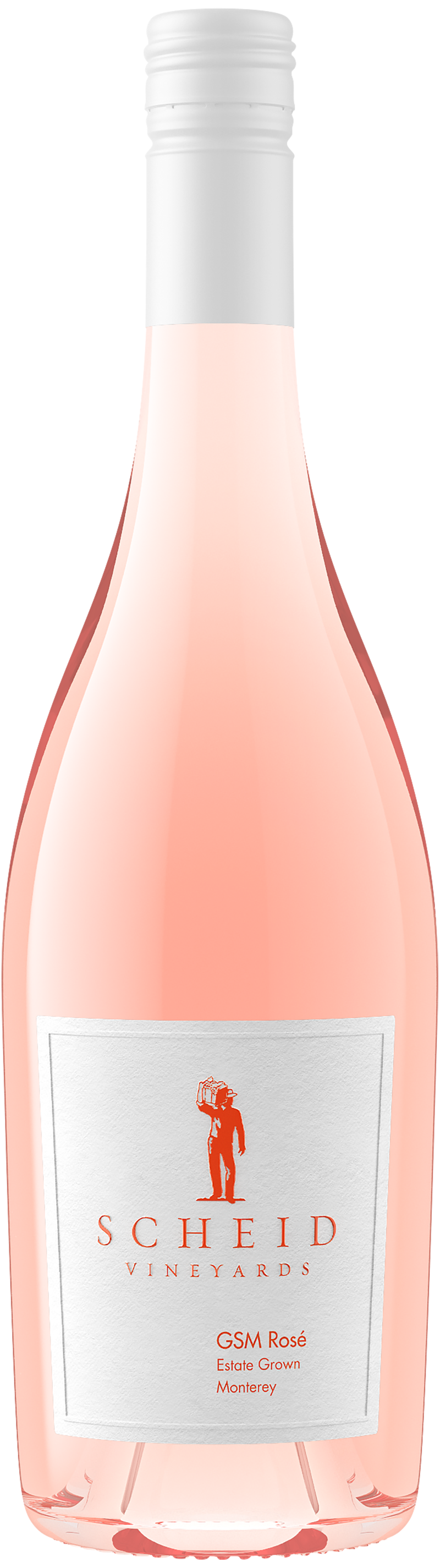 2024 GSM Rose