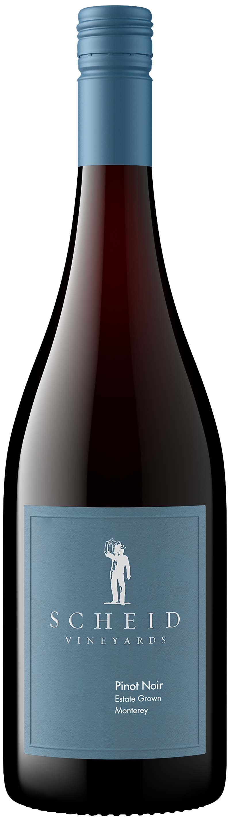 2019 Pinot Noir