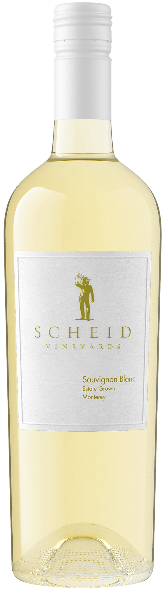 2024 Sauvignon Blanc