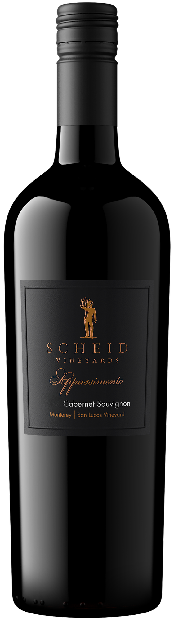 2022 Cabernet Sauvignon Appassimento Reserve