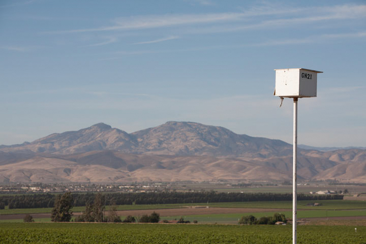 Owl box with mountains and vineyards in the distance