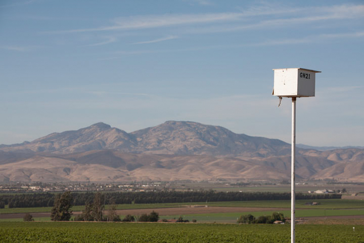 Owl box with mountains in the background