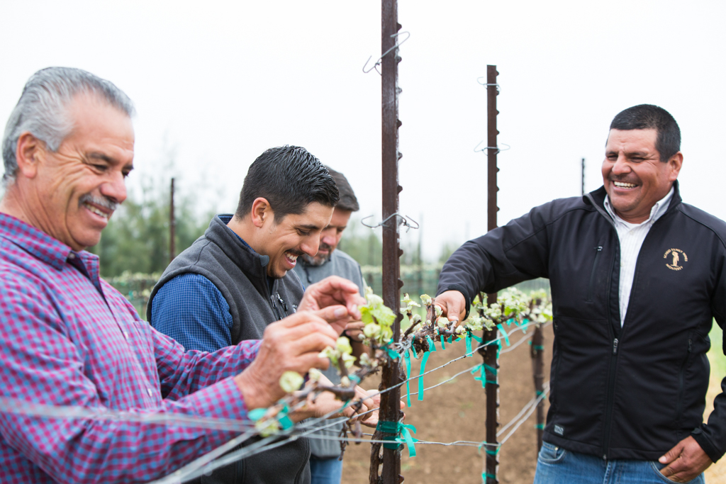Photo of happy vineyard team