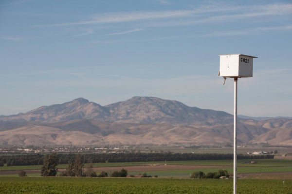 Vineyard landscape at Scheid Vineyards with mountain backdrop and weather monitoring station.