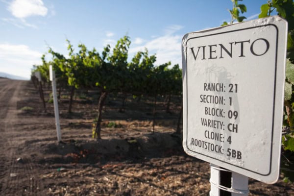 Vineyard sign at Scheid Vineyards showcasing grape variety Viento in California, ideal for wine enthusiasts and viticulture SEO.