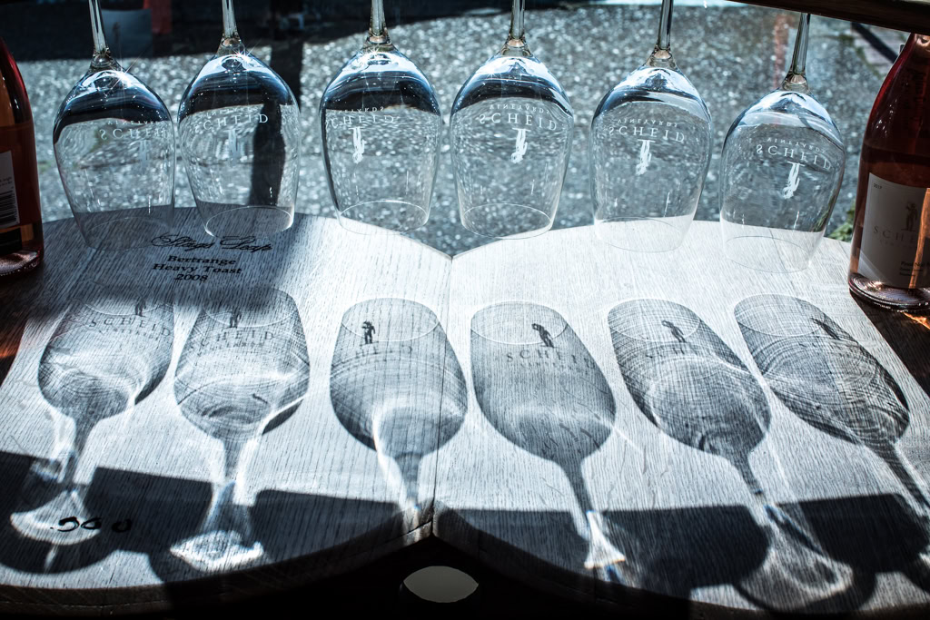 Elegant wine glasses casting shadows on Scheid Vineyards tasting menu, showcasing premium wine tasting experience.