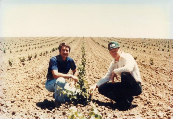 Vineyard workers inspecting grapevines at Scheid Vineyards for quality grape cultivation.