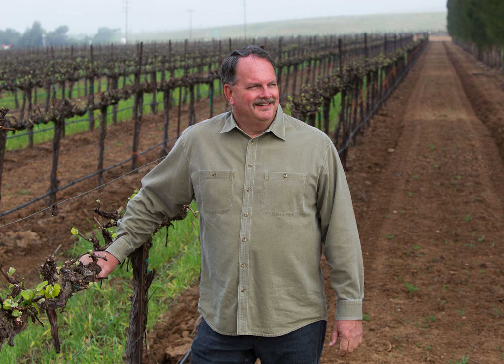 Vineyard owner enjoying walking through grapevines at Scheid Vineyards, California.