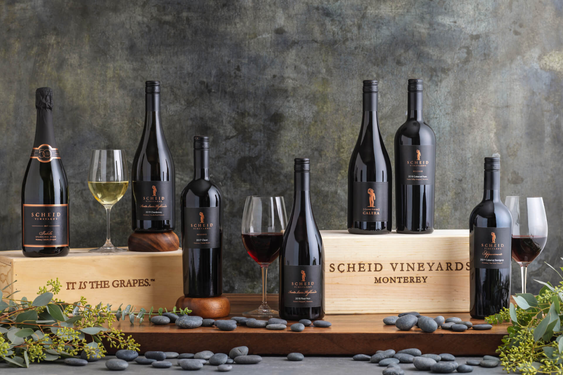Elegant wine bottles and glasses showcasing Scheid Vineyards' premium wines, perfect for wine enthusiasts.